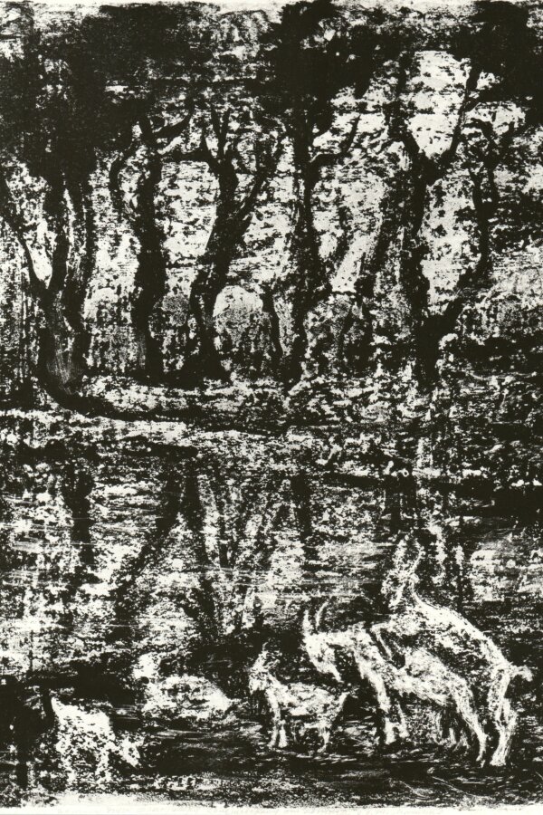 Název: V lese, litografie